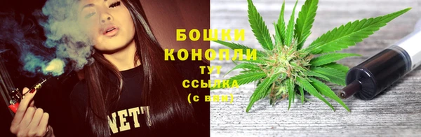 mix Пересвет