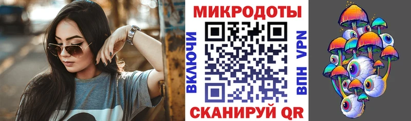 купить наркотики сайты  Вельск  Галлюциногенные грибы Psilocybe 